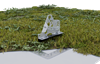 Show image-nr2